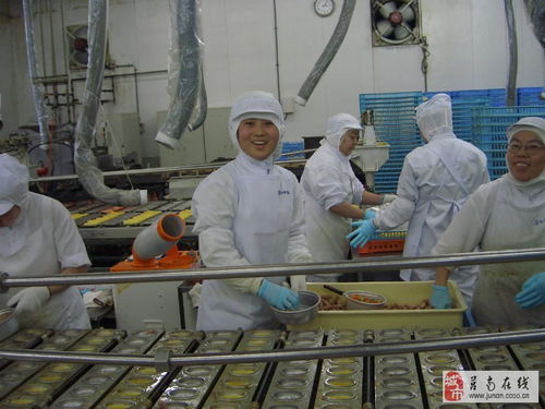 食品廠食品操作工