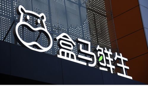 閉關6年實現內陸養蝦夢 首批 山城海蝦 在盒馬上市