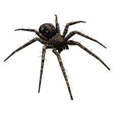 東方私人影庫1800-搜索推薦